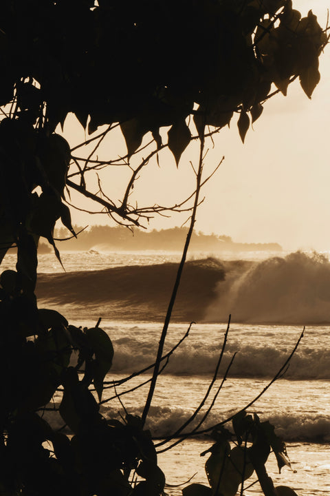 How to Plan a Land-Based Surf Trip in the Maldives: Himmafushi, Jailbreaks, No Charter Required